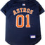Houston Astros Pet Jersey - Your Pet Connection