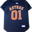 Houston Astros Pet Jersey - Your Pet Connection