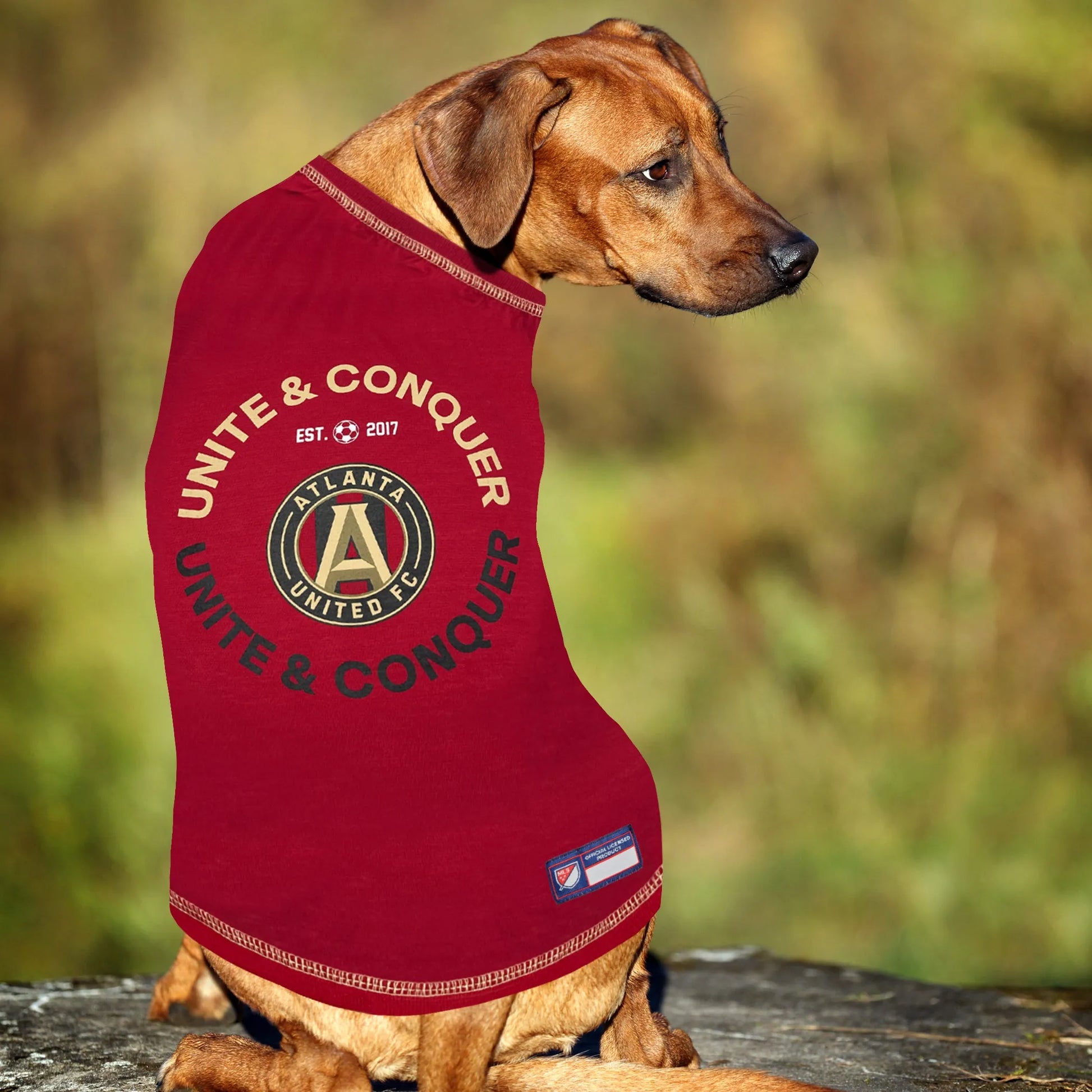 Atlanta United Pet Tee Shirt - Your Pet Connection