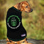 Austin FC Pet Tee Shirt - Your Pet Connection