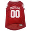 Indiana Basketball Jersey - Your Pet Connection