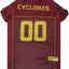 Iowa State Pet Jersey - Your Pet Connection