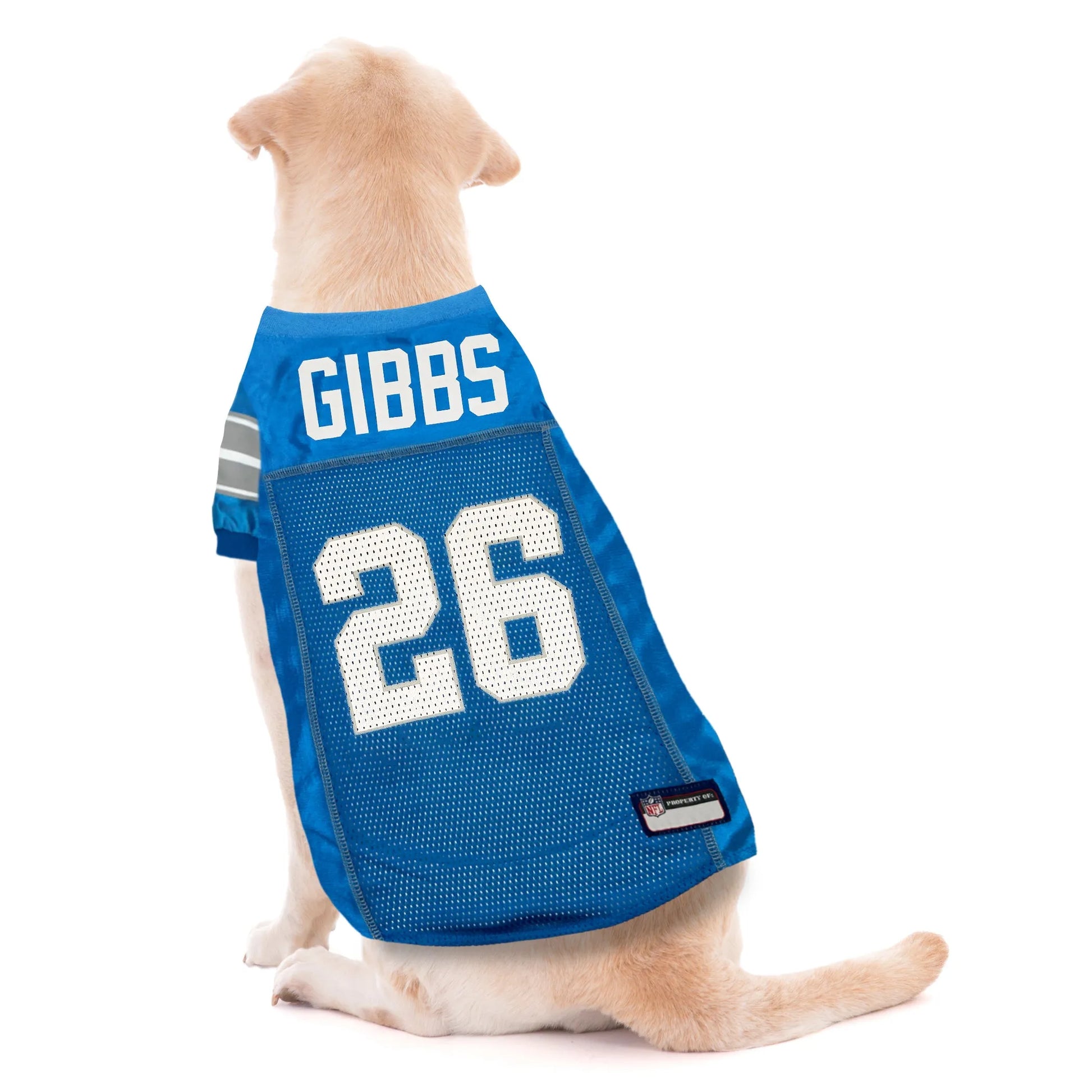 Jahmyr Gibbs Pet Striped Jersey (Det) - Your Pet Connection