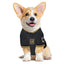 Los Angeles FC Pet Jersey - Your Pet Connection