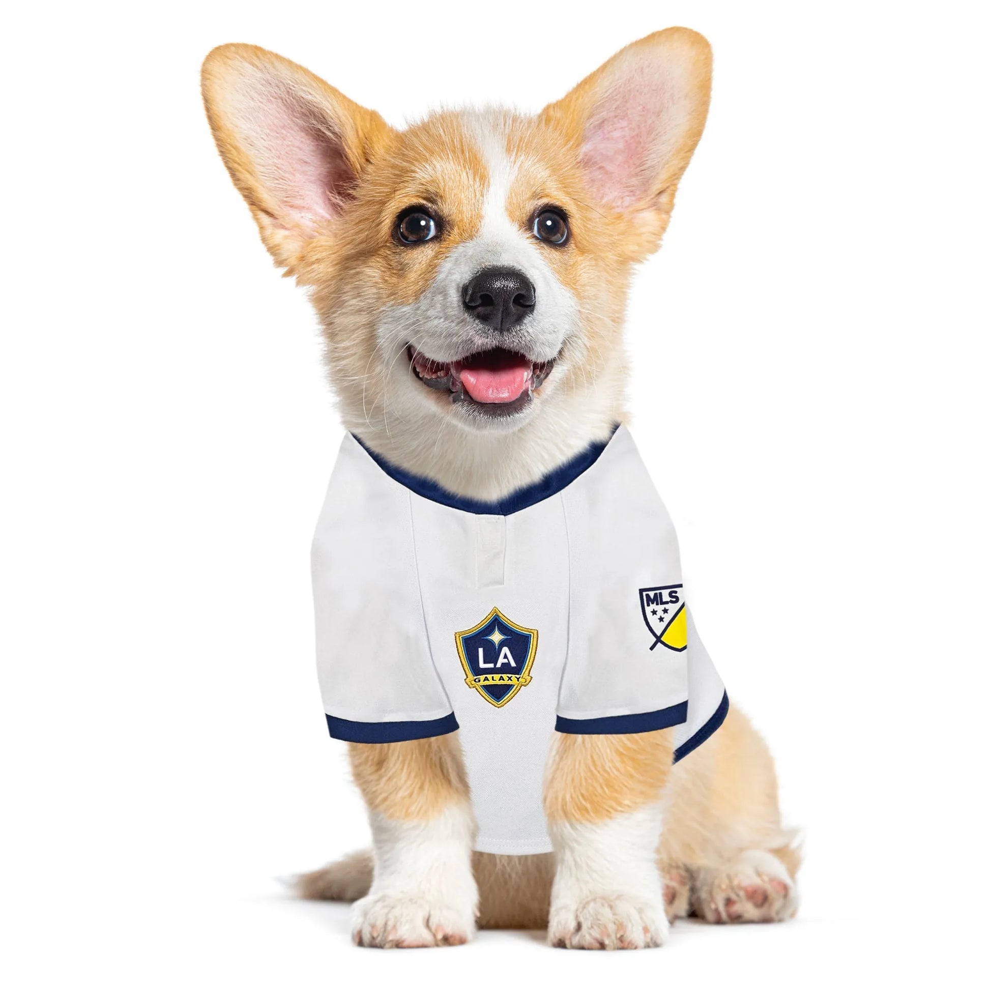 LA Galaxy Pet Jersey - Your Pet Connection