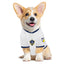 LA Galaxy Pet Jersey - Your Pet Connection