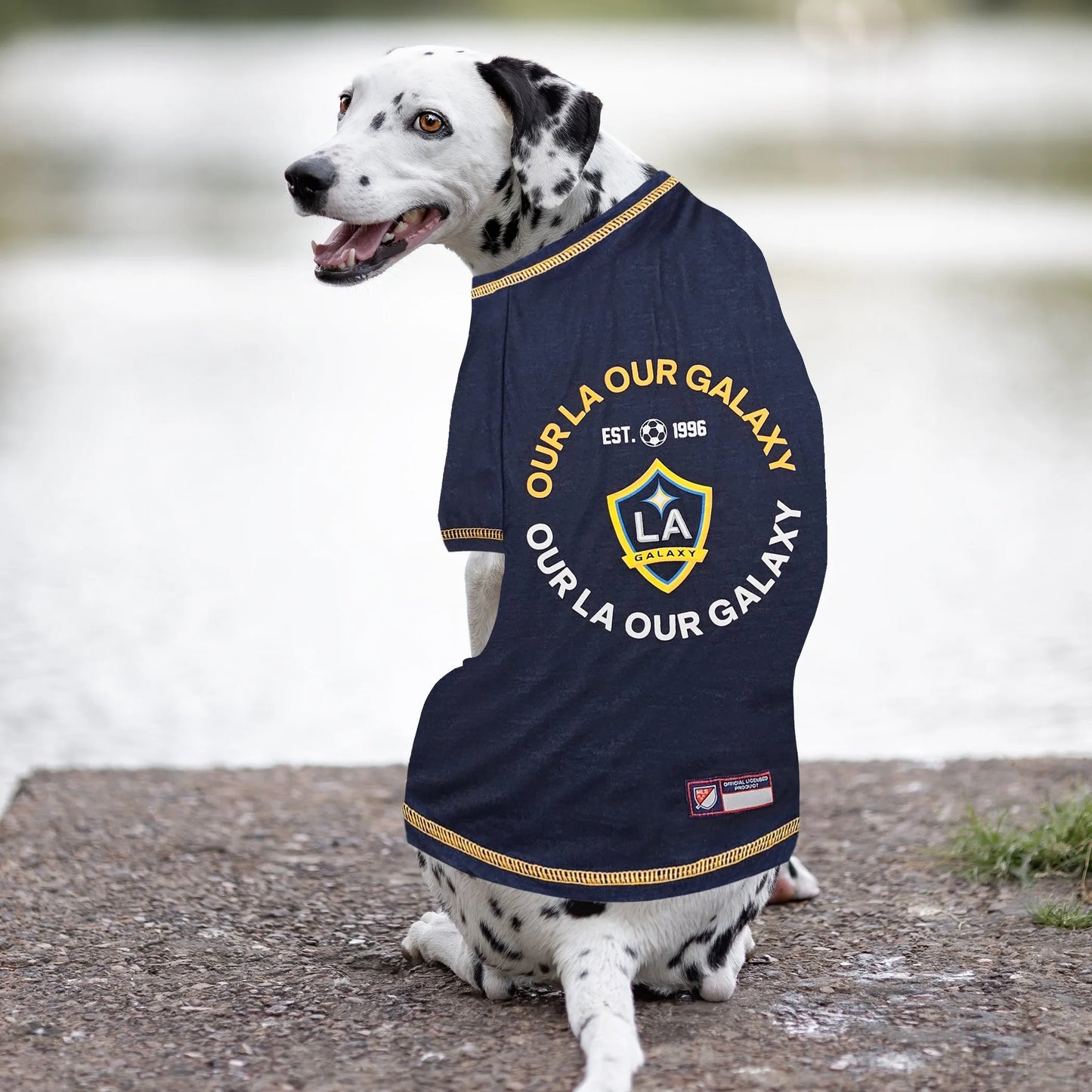 LA Galaxy MLS Pet T-Shirt by Pets First