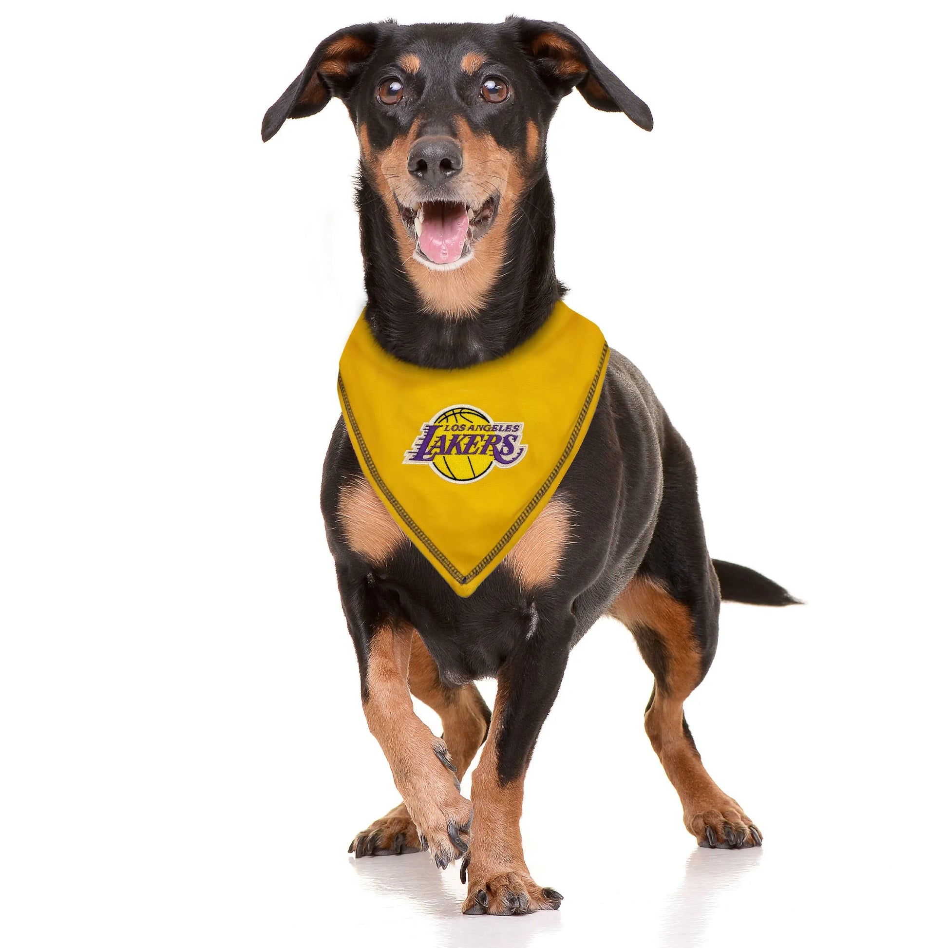LA LAKERS TIE AROUND BANDANA - Your Pet Connection
