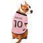 Lionel Messi Player Pet Jersey (IMC) - Your Pet Connection