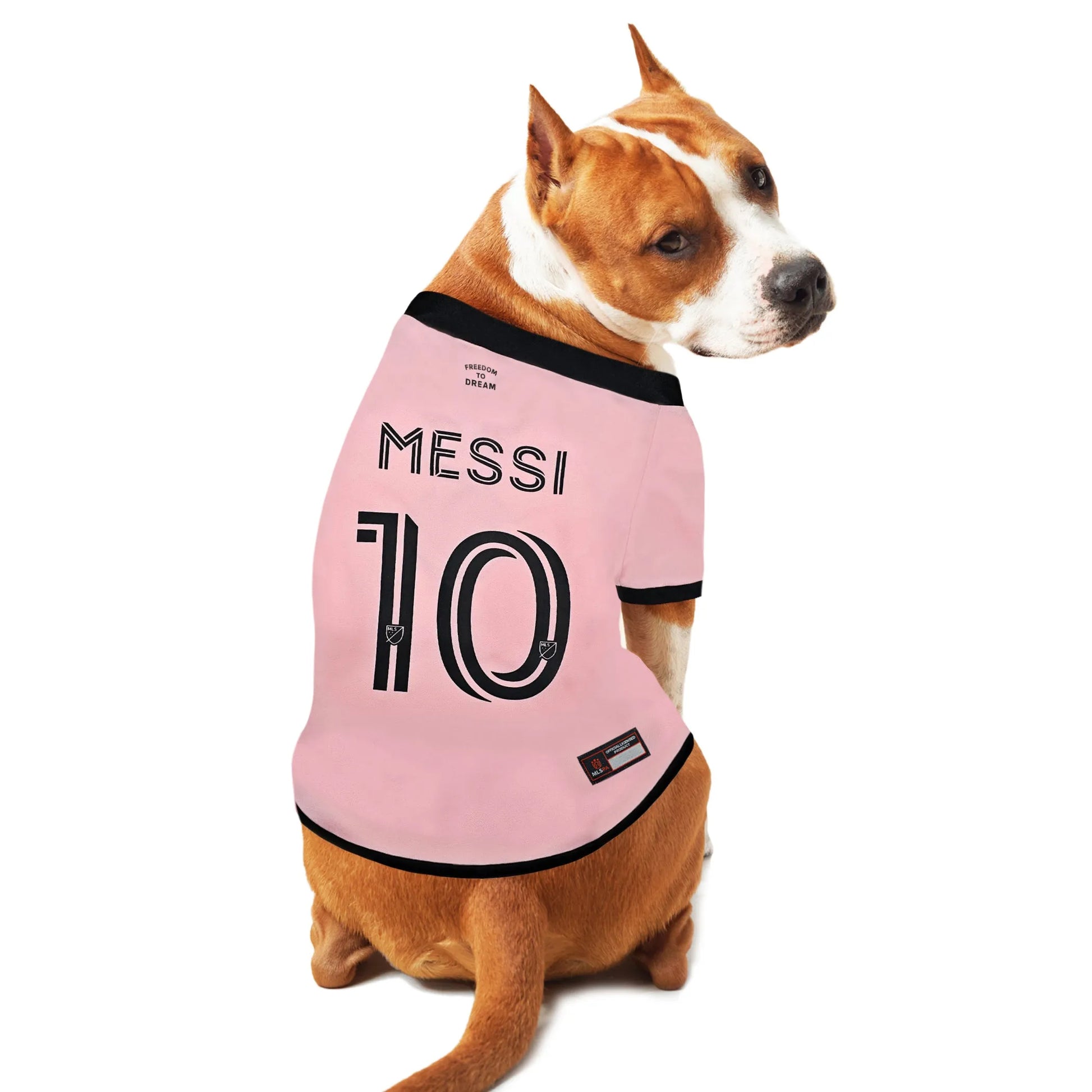 Lionel Messi Player Pet Jersey (IMC) - Your Pet Connection