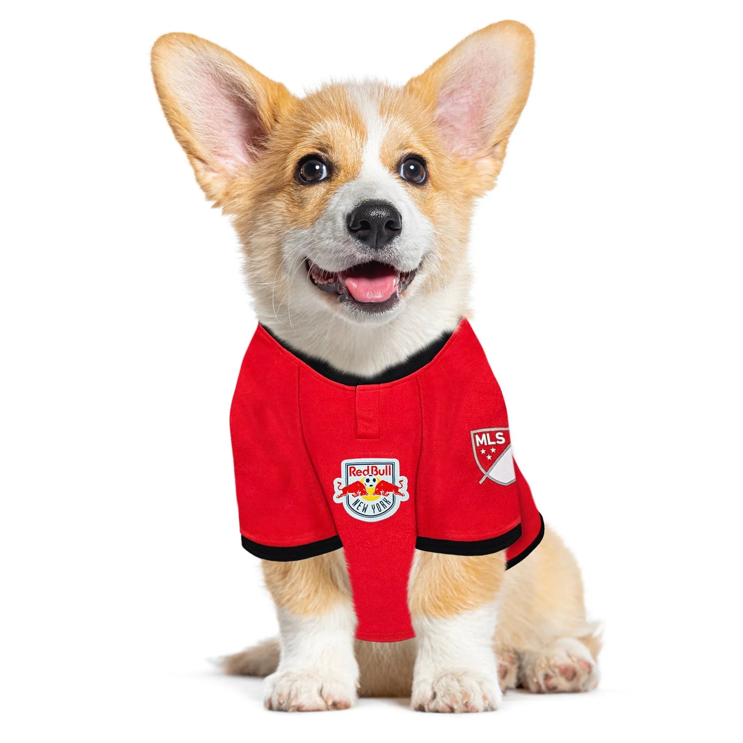 New York Red Bulls Pet Jersey - Your Pet Connection
