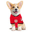 New York Red Bulls Pet Jersey - Your Pet Connection