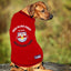 New York Red Bulls Pet Tee Shirt - Your Pet Connection