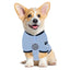 New York City FC Pet Jersey - Your Pet Connection