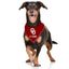 OKLAHOMA TIE AROUND BANDANA - Your Pet Connection