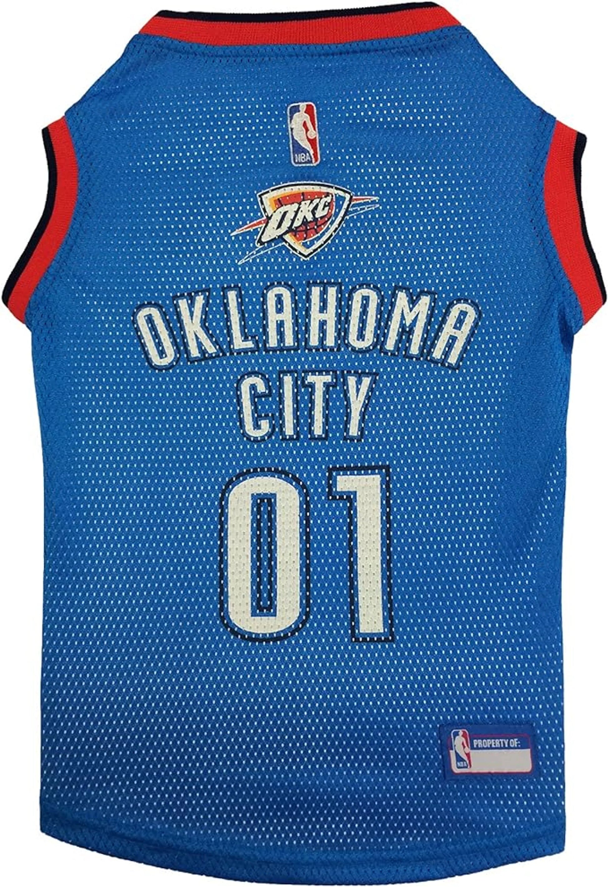 OKC Thunder Basketball Mesh Jersey - Your Pet Connection