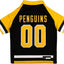 Pittsburgh Penguins Pet Jersey - Your Pet Connection