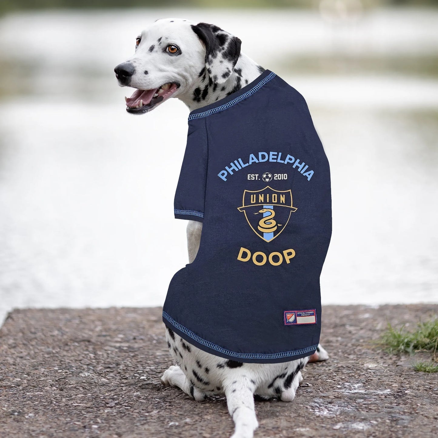 Philadelphia Union Pet Tee Shirt - Your Pet Connection