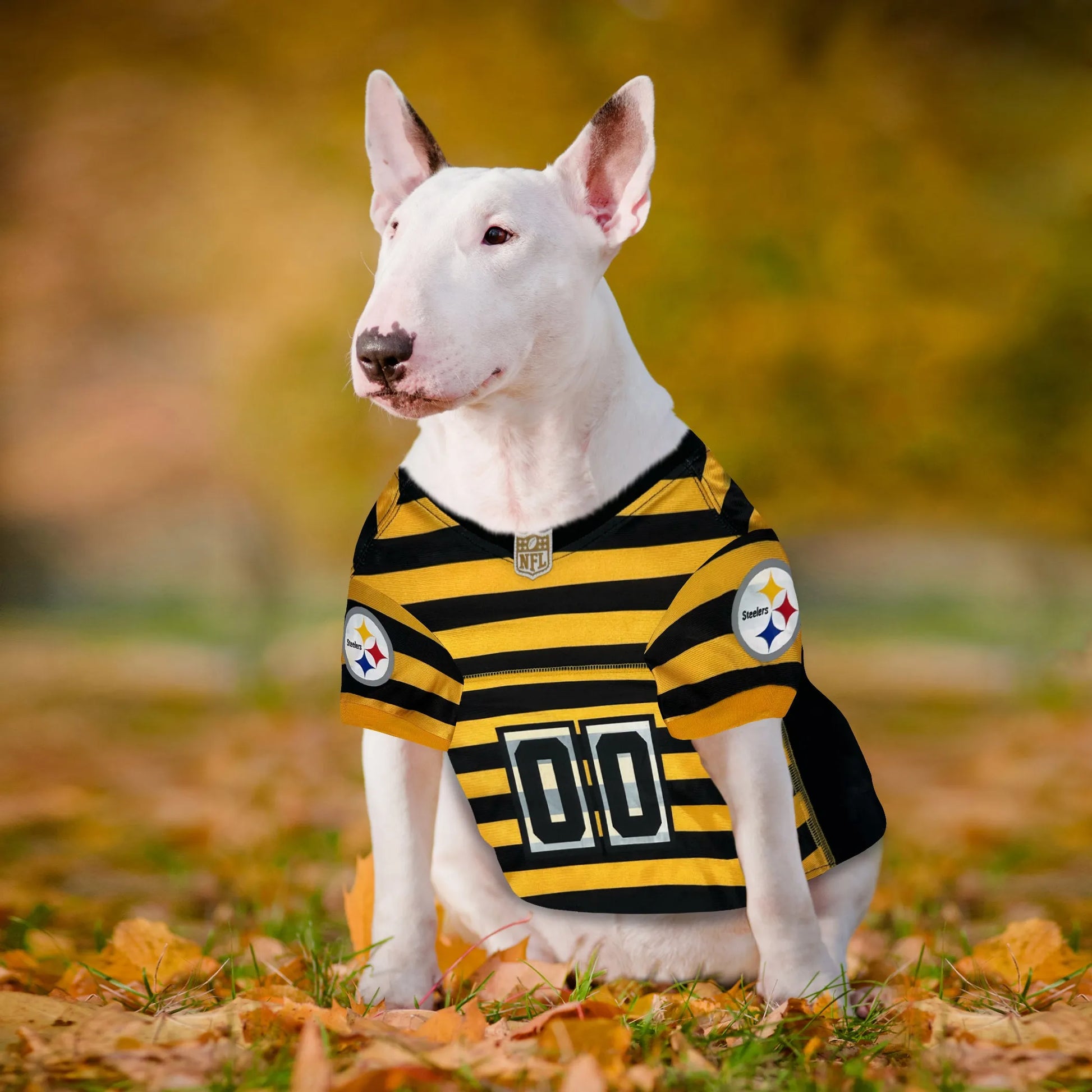 Pittsburgh Steelers Bumble Bee Throwback Jersey - Your Pet Connection