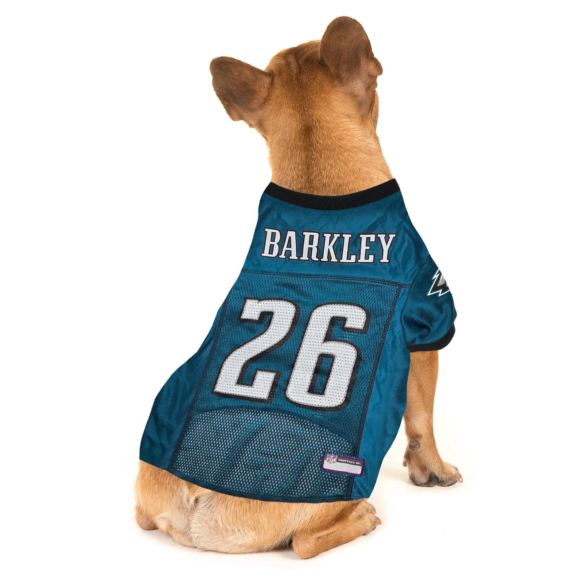 SAQUON BARKLEY PLAYER PET JERSEY (PHL) - Your Pet Connection
