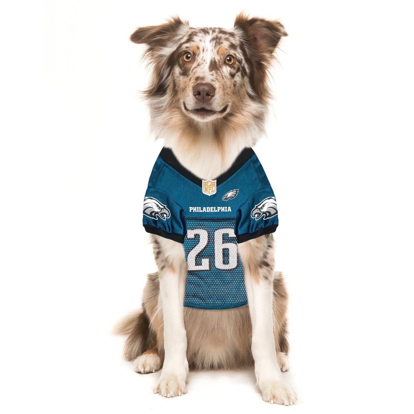 SAQUON BARKLEY PLAYER PET JERSEY (PHL) - Your Pet Connection