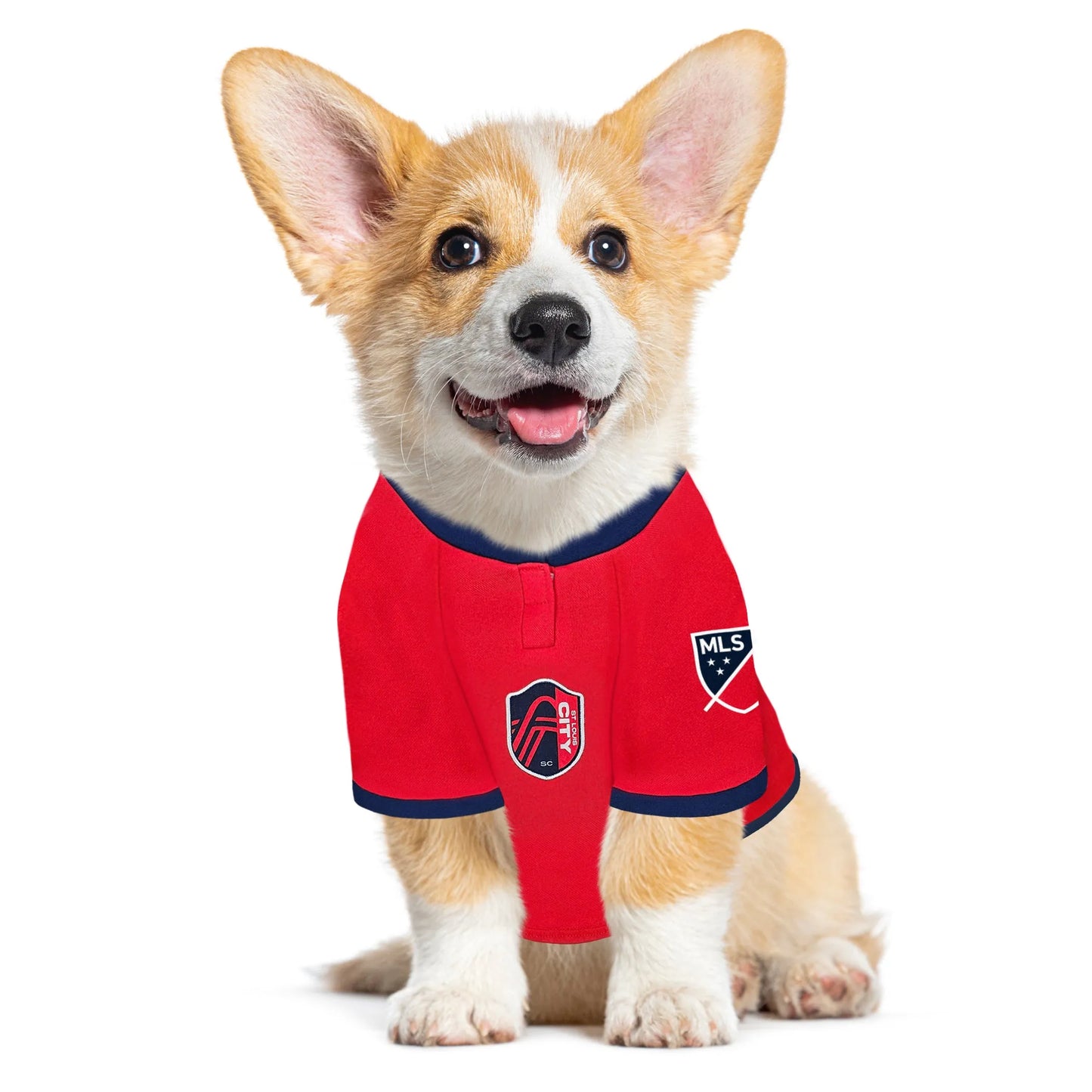 St. Louis SC Pet Jersey - Your Pet Connection