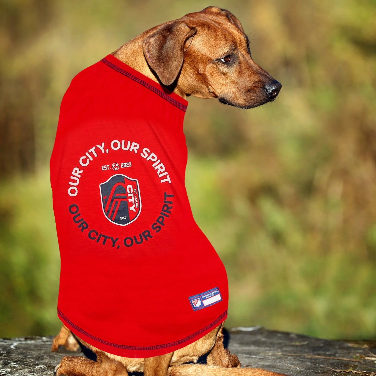 St. Louis CITY SC MLS Pet Shirt by Pets First