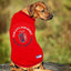St. Louis CITY SC MLS Pet Shirt by Pets First