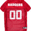 Wisconsin Pet Jersey - Your Pet Connection