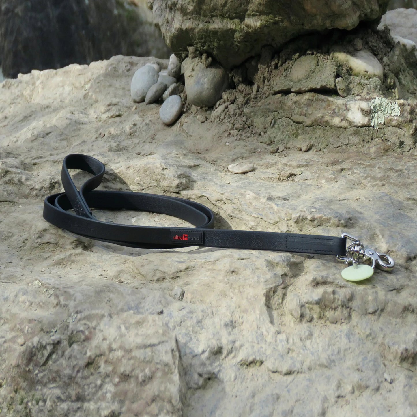 Boss Regular Leash - Your Pet Connection