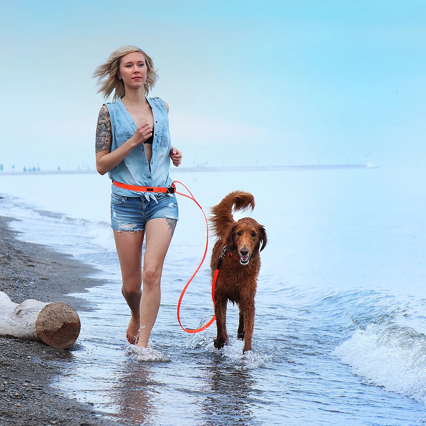 Ultrahund Boss Regular Dog Leash - 6 Foot Canine Lead