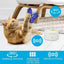 Interactives  - Motion Activate Cat Toys Butterfly Flutter Bug