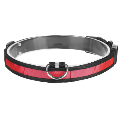 LED Dog Collar