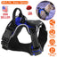 Light Up Dog Harness Rechargeable LED