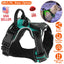 Light Up Dog Harness Rechargeable LED