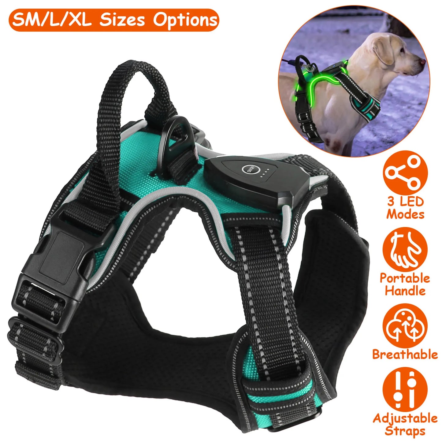 Linx Group LED Pet Harness