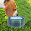 No Spill Dog Cat Water Bowl