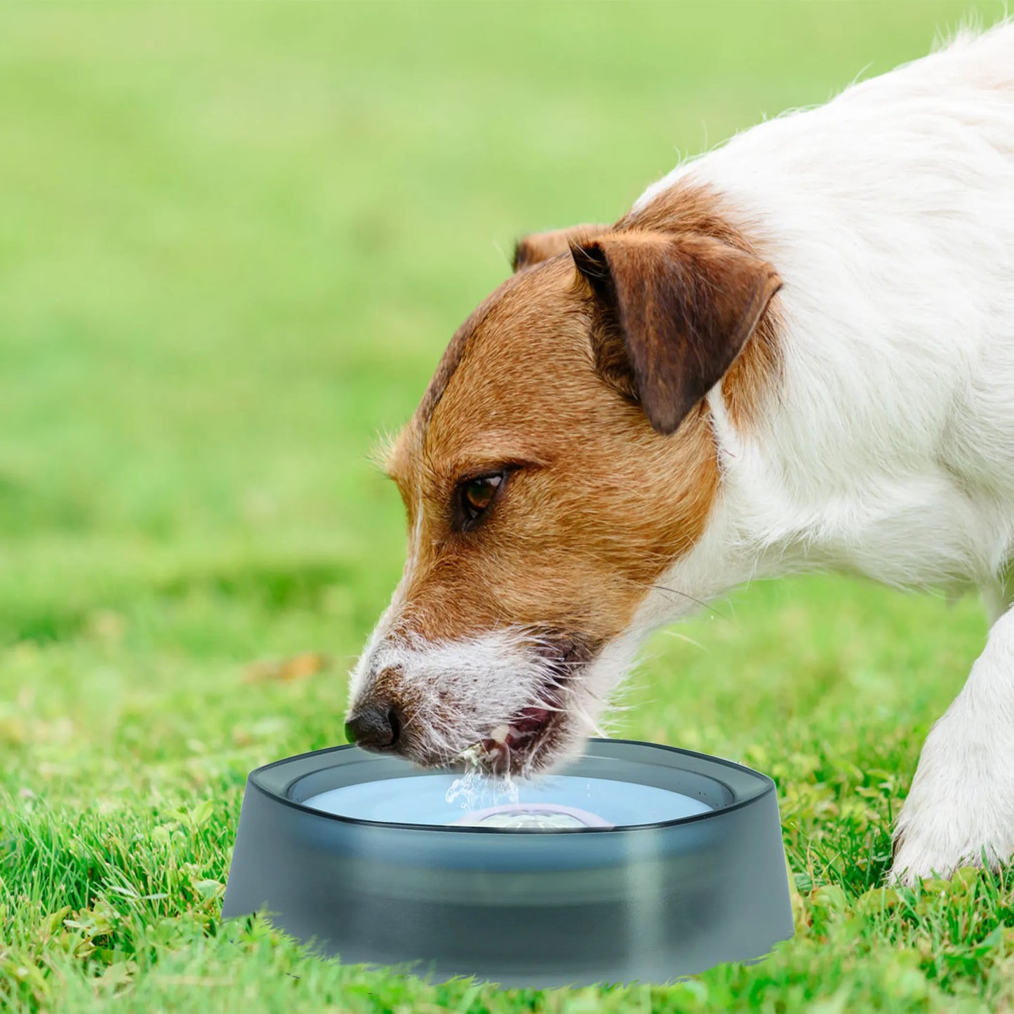 No Spill Dog Cat Water Bowl