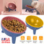 Raised Tilted Elevated Cat Food Bowl Pet