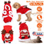 Linx Group Santa-Themed Pet Costume S-XL