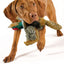 Classic - Dog Toys - Squeaky Dog Pheasant Toys for Dogs