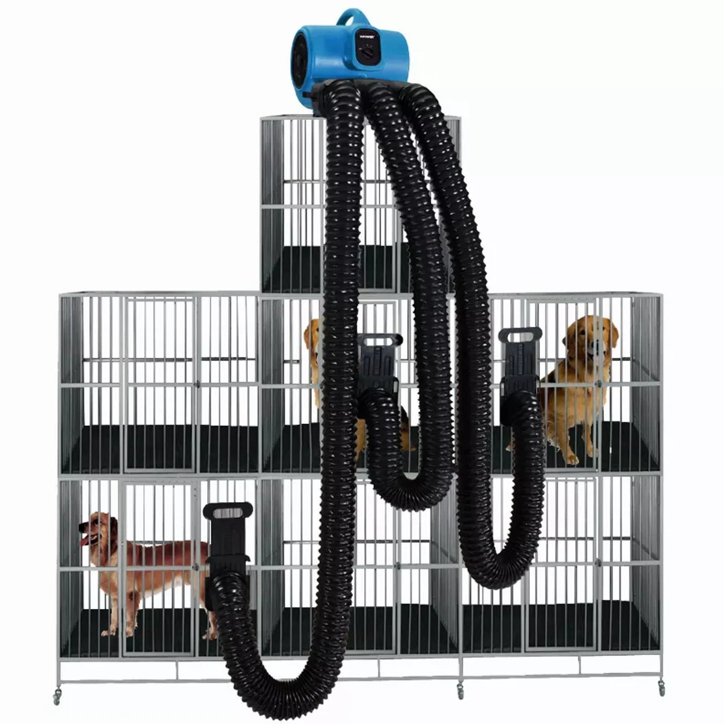 XPOWER X-430TF-MDK Professional 3 Speed Pet Grooming Dog Cage Dryer with Multi Drying Hose Kit, Timer & Filters - Your Pet Connection
