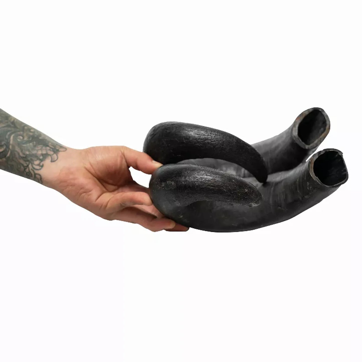 WATER BUFFALO HORN-100% Natural, Long-Lasting, Grain-Free, Gluten-Free, Dog Dental Treats & Chews-2 COUNT-15 oz - Your Pet Connection
