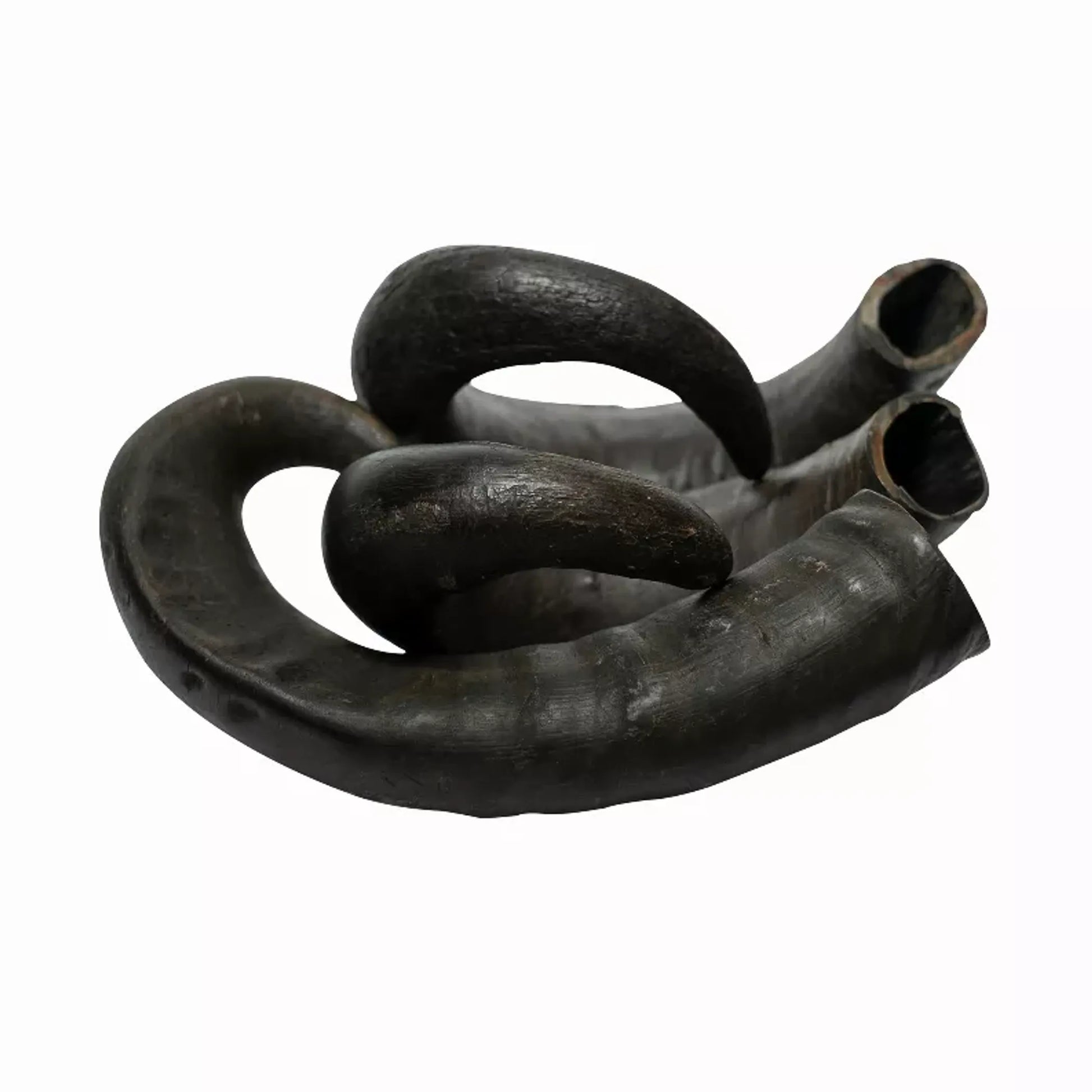 WATER BUFFALO HORN-100% Natural, Long-Lasting, Grain-Free, Gluten-Free, Dog Dental Treats & Chews-2 COUNT-15 oz - Your Pet Connection