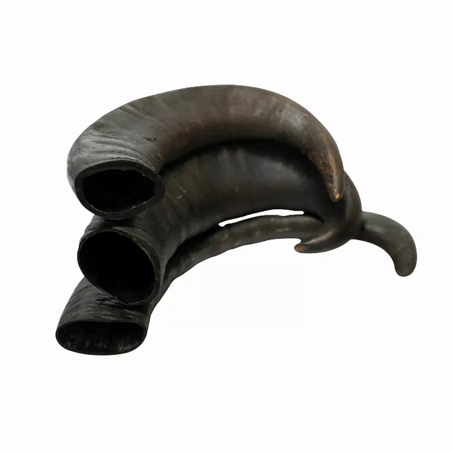 WATER BUFFALO HORN-100% Natural, Long-Lasting, Grain-Free, Gluten-Free, Dog Dental Treats & Chews-2 COUNT-15 oz - Your Pet Connection
