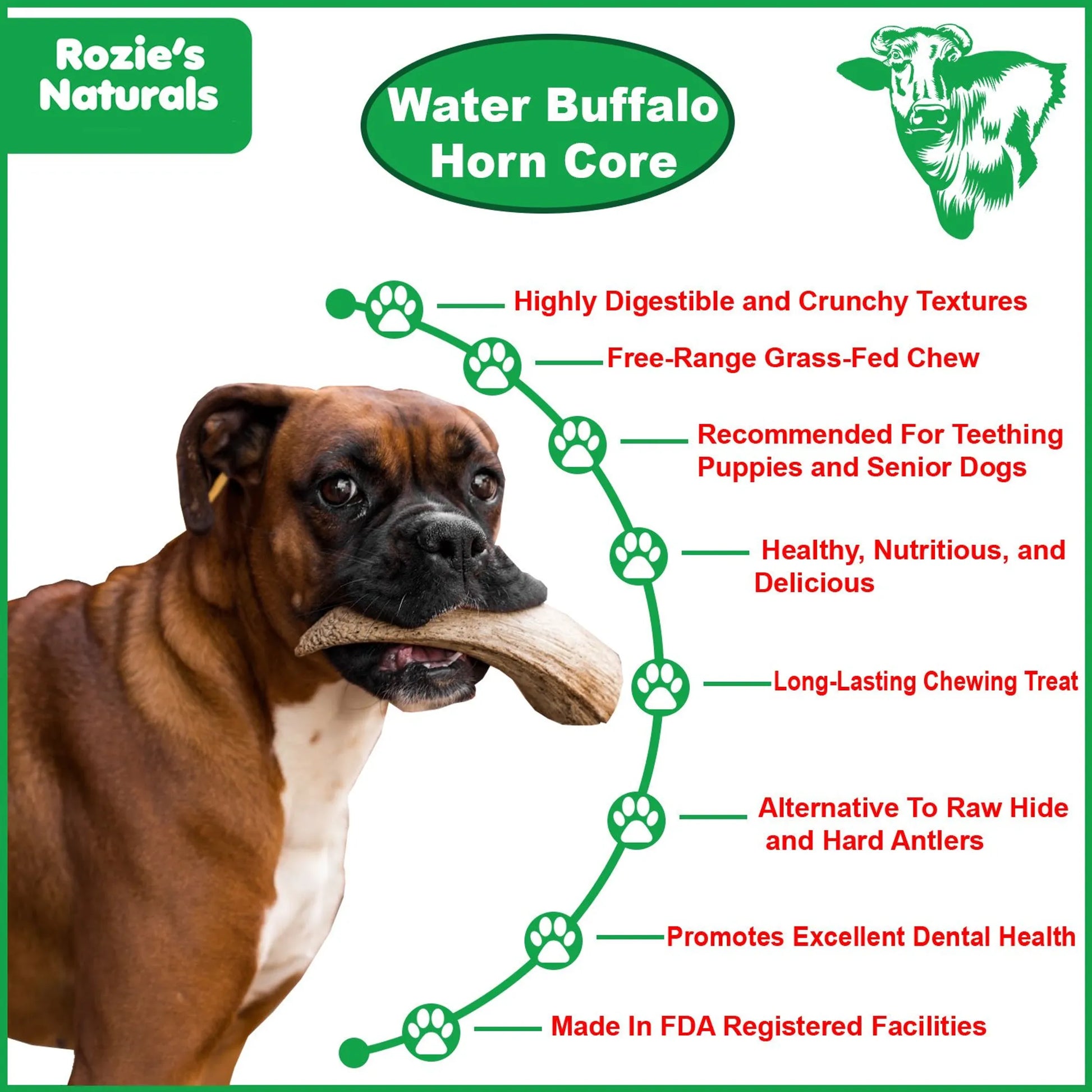 WATER BUFFALO HORN CORE-Horn Inner Part-100% Natural, High Protein, Long-Lasting, Grain-Free, Gluten-Free, Low-Fat, Dog Dental Treats & Chews-2 COUNT-10 oz - Your Pet Connection