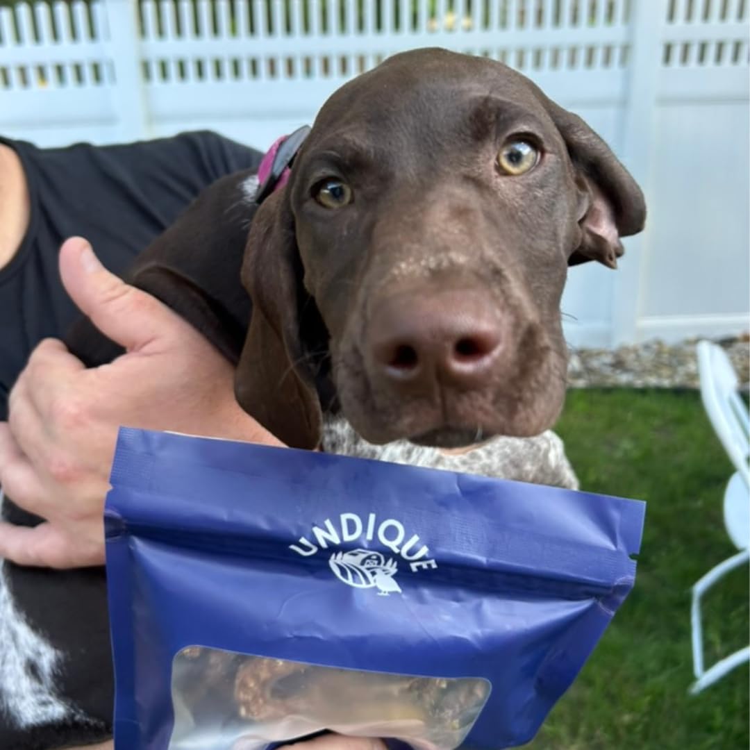 Quail Crunch Sticks Dog Treats, 10 Count Quail Spines Gourmet Dehydrated Healthy Dog Training Treats, Premium Flavors Promote Dental Health, No Artificial Additives for Happy Pets - Your Pet Connection