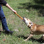 SP Pop Top Rubber Tug Toy for Interactive Play - Your Pet Connection