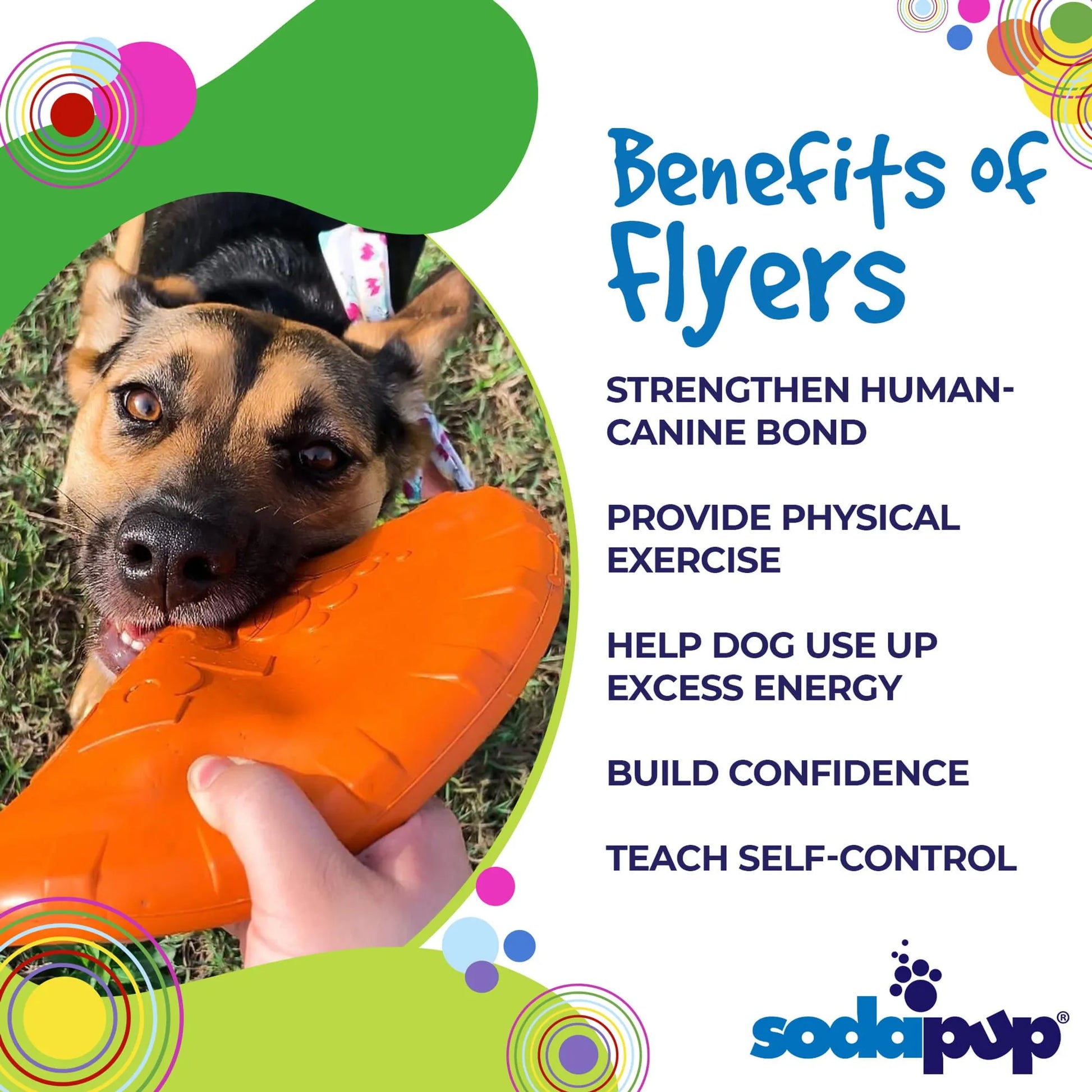 SP Bottle Top Flyer Durable Rubber Retrieving Frisbee - Your Pet Connection