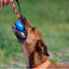 USA-K9 Cherry Bomb Durable Rubber Chew Toy, Treat Dispenser, Reward Toy, Tug Toy, and Retrieving Toy - Your Pet Connection